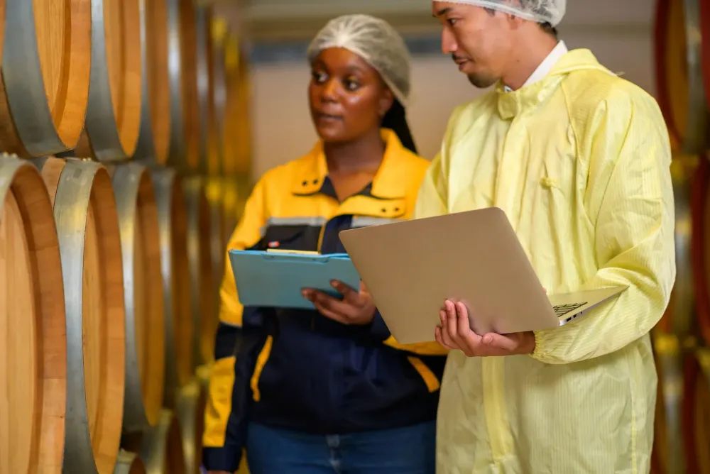 Two staff in work gear checking wine barrels with a laptop.